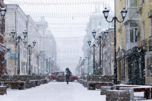 Бороться со снегом в Ростове вышли 63 спецмашины