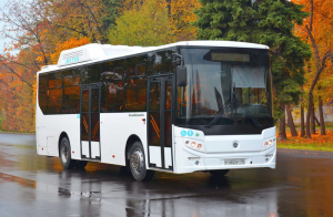 Половина водителей автобусов в Ростове находятся на больничном