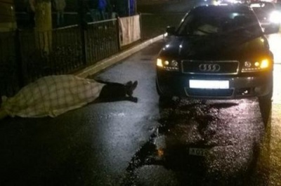 Под Ростовом 21-летний водитель Audi насмерть сбил двух пешеходов