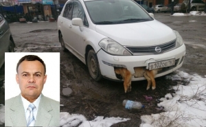 Депутат с трупом собаки в бампере: однопартийцы открестились, коллеги выдвинули версию о фотошопе