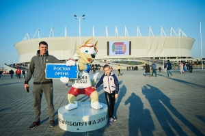 Власти проведут «разбор полетов» по итогам матча на «Ростов Арене»